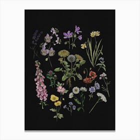 Cottage Garden Wildflower Illustration Art Print Canvas Print