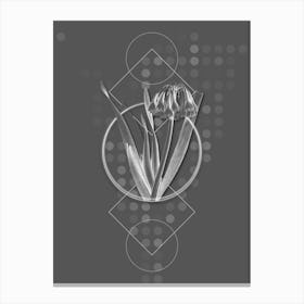 Vintage Knysna Lily Botanical with Line Motif and Dot Pattern in Ghost Gray n.0177 Canvas Print