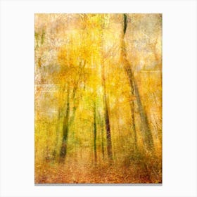 Autumn Abstraction Canvas Print