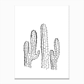 Cacti I Canvas Print