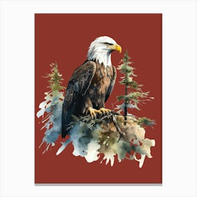 Bald Eagle Canvas Print