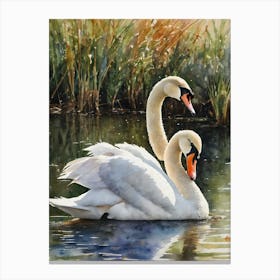 Mute Swan Canvas Print