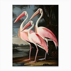 Three Pink Storks Canvas Print