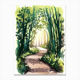 Watercolor Path In The Woods Canvas Print