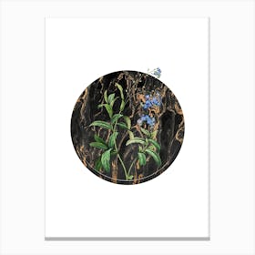 Vintage Forget Me Not Botanical in Gilded Marble on Clean White Canvas Print