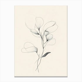 Black And White Flower Drawing Canvas Print