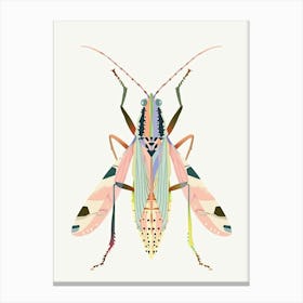 Colourful Insect 4 Illustration Canvas Print