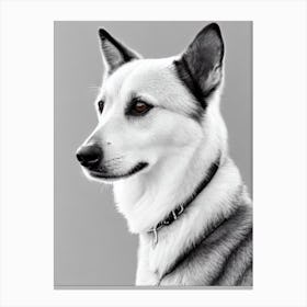 Norwegian Lundehund B&W Pencil dog Canvas Print