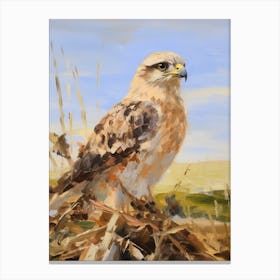 Bird Painting Falcon 1 Canvas Print