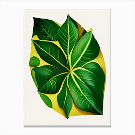 Starfruit Leaf Vibrant Inspired 2 Canvas Print