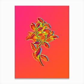 Neon Evergreen Oak Botanical in Hot Pink and Electric Blue Canvas Print