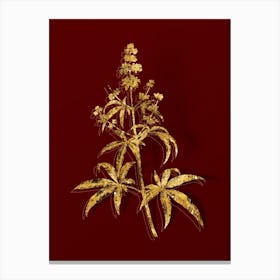 Vintage Chaste Tree Botanical in Gold on Red n.0432 Canvas Print