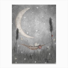 Sleeping Night Mouse Canvas Print