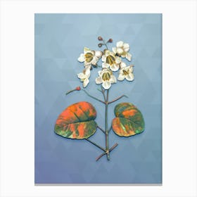 Vintage Catalpa Cordifolia Flower Botanical Art on Summer Song Blue n.0617 Canvas Print