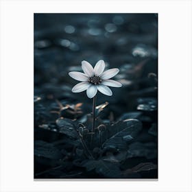 Dark Flower 36 Canvas Print