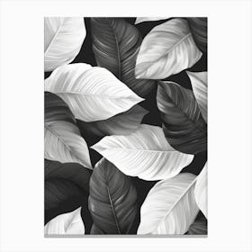 Black And White Tropical Leaves 2 Canvas Print