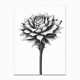 A Carnation In Black White Line Art Vertical Composition 31 Canvas Print