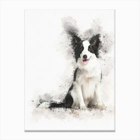 Border Collie Dog Canvas Print