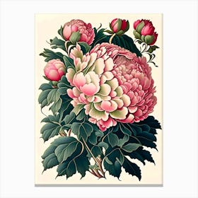 Shirley Temple Peonies Vintage Botanical Canvas Print