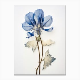 Pressed Flower Botanical Art Aconitum 2 Canvas Print