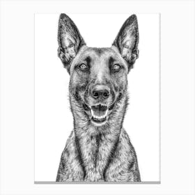 Portrait Of A German Shepherd 1 Canvas Print