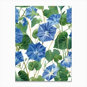 Blue Morning Glory 3 Canvas Print