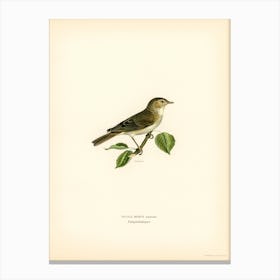 Garden Warbler, The Von Wright Brothers Canvas Print