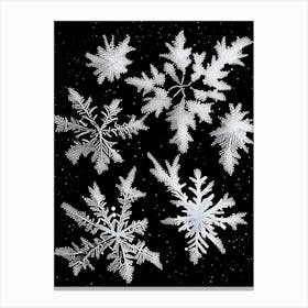 Fernlike Stellar Dendrites, Snowflakes, Black & White 1 Canvas Print