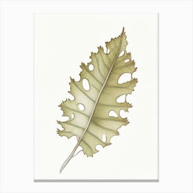 Oak Leaf 1 Canvas Print