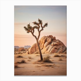  Photograph Of A Joshua Tree In Rocky Landscape 4 Canvas Print