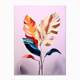 Monster Leaves 2 Canvas Print