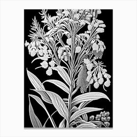 Swamp Milkweed Wildflower Linocut Canvas Print