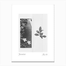 Jasmine Botanical Collage 2 Canvas Print