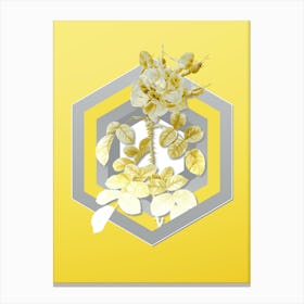 Botanical Four Seasons Rose in Bloom in Gray and Yellow Gradient n.292 Canvas Print