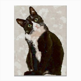 Cat Confuse Canvas Print