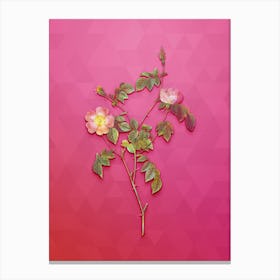 Vintage Pink Austrian Copper Rose Botanical Art on Beetroot Purple n.0067 Canvas Print
