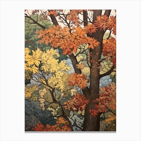 Hickory 1 Vintage Autumn Tree Print  Canvas Print