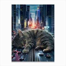 Cat Sleeping In The City Canvas Print