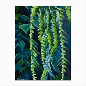 Netted Chain Fern Cézanne Style Canvas Print