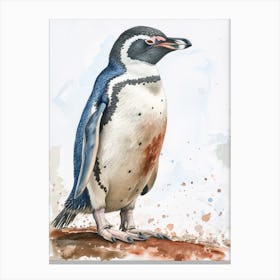 Humboldt Penguin Fernandina Island Watercolour Painting 3 Canvas Print