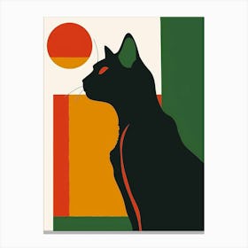 Cat In The Sun 5 Canvas Print