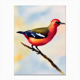 Baldpate Watercolour Bird Canvas Print