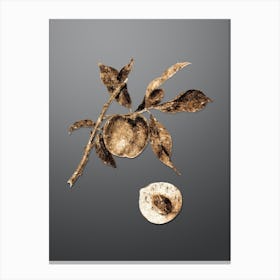 Gold Botanical Peach on Soft Gray n.2626 Canvas Print