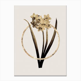 Gold Ring Narcissus Easter Flower Glitter Botanical Illustration n.0252 Canvas Print