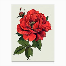 Red Rose 6 Canvas Print