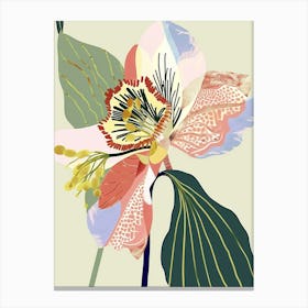 Colourful Flower Illustration Hellebore 4 Canvas Print