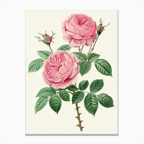 English Roses Painting Vintage Style 1 Canvas Print