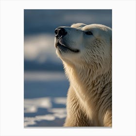 Polar Bear 2 Canvas Print