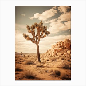  Photograph Of A Joshua Tree In Grand Canyon 3 Canvas Print
