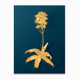 Vintage Sun Star Botanical in Gold on Teal Blue n.0164 Canvas Print